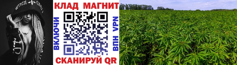 Виды наркотиков купить Выкса Кокаин Alpha PVP Канабис ГАШИШ