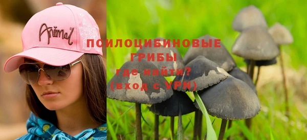 крисы Алексеевка