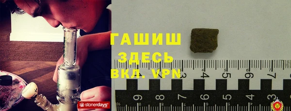 СК Алексин