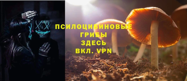 дмт Алзамай