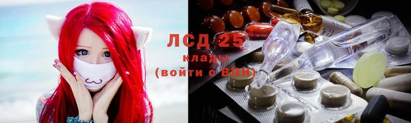 дмт Алзамай
