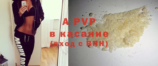 СК Алексин