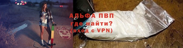 СК Алексин