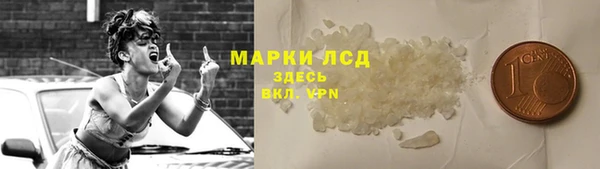 СК Алексин