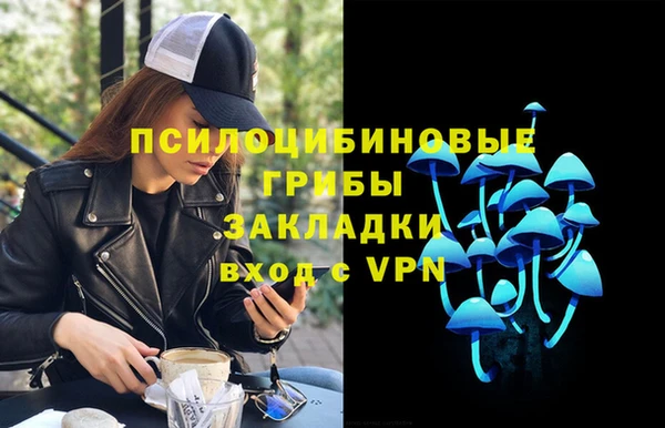 СК Алексин