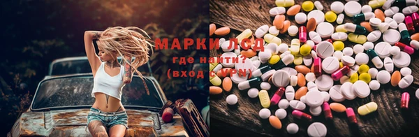 СК Алексин