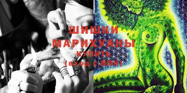 дмт Алзамай