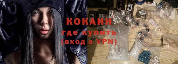СК Алексин