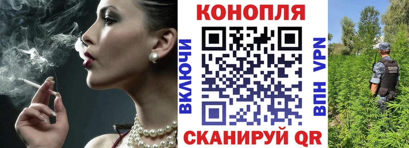 Шишки марихуана семена MEGA ссылка Выкса